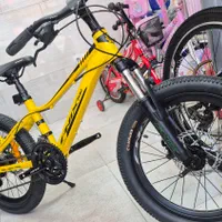 دوچرخه۲۰فنیکس آلومینیوم ترمزدیسکی شرایط بدون سود|دوچرخه، اسکیت، اسکوتر|رشت, فلسطین|دیوار