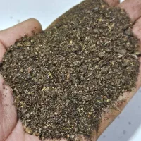 خوراک دام پرواری گوسفند و گاو