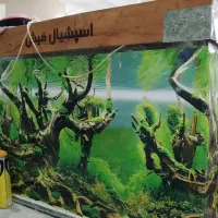 اکواریوم بزرگ