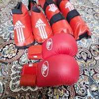 دسکش و روپای کامل