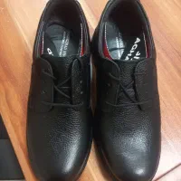 کفش تولیدی آقانژاد|کیف، کفش، کمربند|قم, شاه سید علی|دیوار