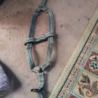 قلاده سگ ۲ عدد