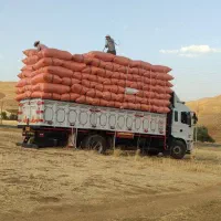 فروش کاه نرم خرمنکوب|خدمات باغبانی و درختکاری|یزد, |دیوار