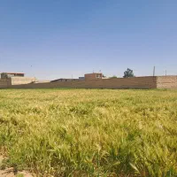 فروش-زمین-با-بهترین-قیمت-در-آمرزید-آباد