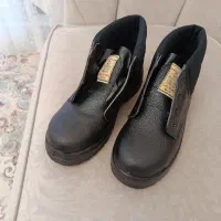 کفش ایمنی کار