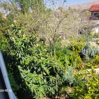 ۱۲۰۰ متر باغ داخل محدوده شهری معاوضه با مسکونی|فروش خانه و ویلا|شیراز, شهرک گلستان|دیوار