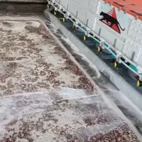 قالیشویی