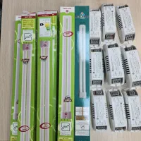 ترانس و مهتابی