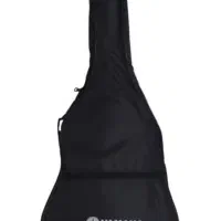 سافت کیس گیتار