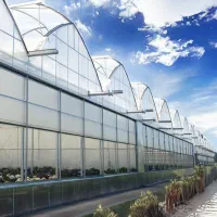 پیمانکار گلخانه پیمانکار ساخت گلخانه لوازم گلخانه‌