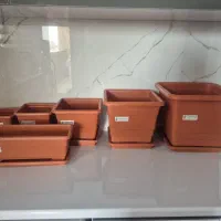 مجموعه‌ای از گلدان و زیر گلدانی|گل و گیاه طبیعی|شاهین‌شهر, فدک|دیوار