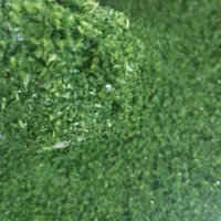 همکار خانم برای کار در سبزیجات اماده