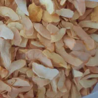 سیب خشک آفتابی نو