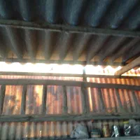 نردبان چوبی