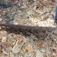 نان خشک مخصوص دامداری