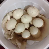 تخم اردک اسراییلی