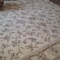 یک عدد ۱۲ متری گلبرجسته نو