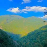 آماده سرمایه گذاری وشراکت
