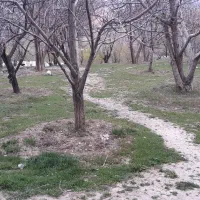 زمین مسکونی|فروش زمین و ملک کلنگی|بلداجی, |دیوار