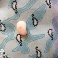 سنگ عقیق|کلکسیون اشیاء عتیقه|همایجان, |دیوار