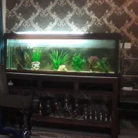 آکواریوم سایز بزرگ فروش استثنایی