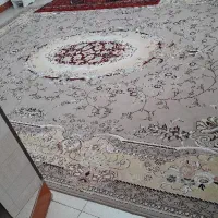 فرش|فرش|ملایر, |دیوار