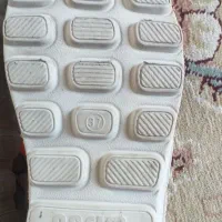 کفشهای زنانه ومردانه نووکارکرده|کیف، کفش، کمربند|ری, دولت‌آباد|دیوار