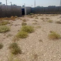 زمین مسکونی باغک جنوبی|فروش زمین و ملک کلنگی|اهرم, |دیوار