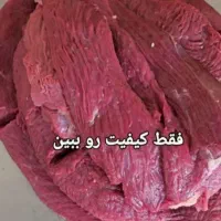 پخش گوشت شترمرغ کشتارروز،گرم|خوردنی و آشامیدنی|لالجین, |دیوار