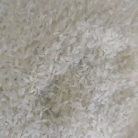 برنج عنبر بو شوشتر لنجان کامفیروز تارم هاشمی