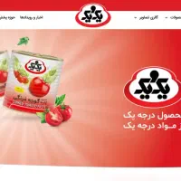 طراحی سایت فروشگاهی حرفه‌ای فقط ۳/۵ میلیون محدود|خدمات رایانه‌ای و موبایل|اصفهان, آبشار|دیوار
