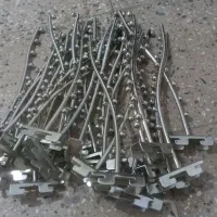 رگال