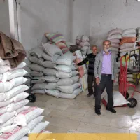 شالیکوبی و بازرگانی برنج دابودشت آمل،مازندران