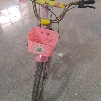 حراج دوچرخه و روروئک بدلیل مهاجرت