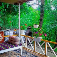 اجاره کلبه جنگلی، پناهگاه سبز جنگل با کلبه دنج|اجارهٔ کوتاهمدت ویلا و باغ|شیرگاه, |دیوار