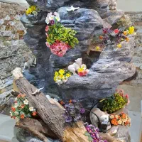 ابنما صخره ای