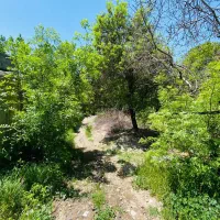 باغچه کوشک زر ....هشتگرد|فروش زمین و ملک کلنگی|هشتگرد, کوشک زر|دیوار