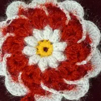 انواع لیف و اسکاج|لوازم حمام|بروجرد, |دیوار