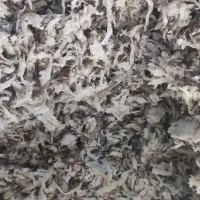 خوراک دام تفاله چغندر