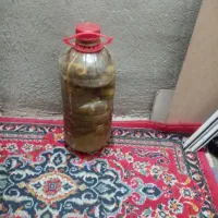 آبغوره|خوردنی و آشامیدنی|محمدیه-قزوین, |دیوار