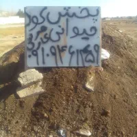 پخش کود چوب بری سم پاشی هرس کاری|خدمات باغبانی و درختکاری|تنکمان, |دیوار