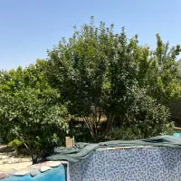 ویلاباغ ۵۴۰متر کارکرد معاوضه واحد گلدشت قلعه سفید|فروش خانه و ویلا|اصفهان, جلفا|دیوار