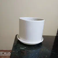 گل و گلدان|گل مصنوعی|کرمانشاه, |دیوار