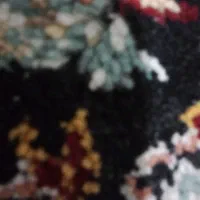 سگ پا کوتاه پیدا شده