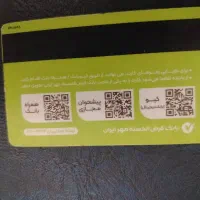 مدارک گمشده سید امیر منصوری