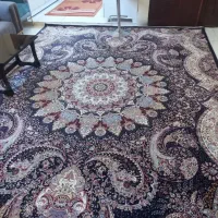 یک تخته فرش پازیک ۱۲ متری ۱۲۰۰ شانه تراکم ۳۶۰۰