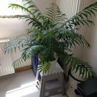 مخصوص آپارتمان اداره و زیبایی محل کار