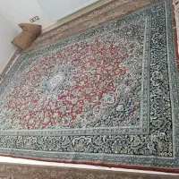 فرش ۹متری زرین قلم|فرش|اردبیل, |دیوار