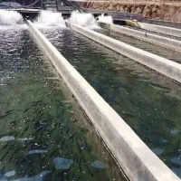 نگهبان جهت کار در پرورش ماهی