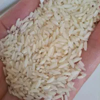 برنج دورود